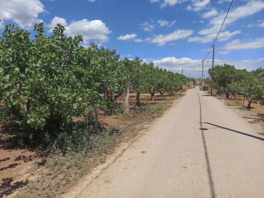 PROSOPSE 41 m. SE ASPHALTOSTROMENE ODO