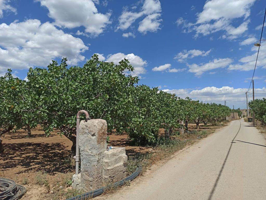 PROSOPSE 41 m. SE ASPHALTOSTROMENE ODO