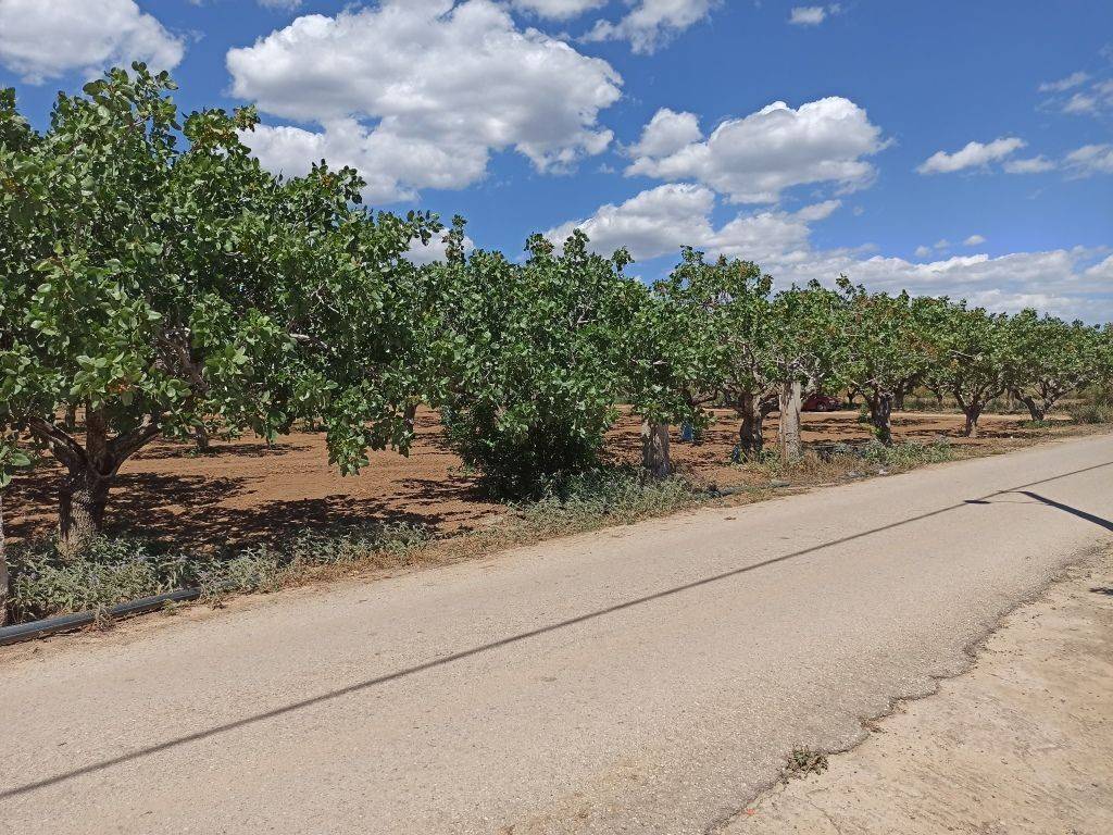 PROSOPSE 41 m. SE ASPHALTOSTROMENE ODO