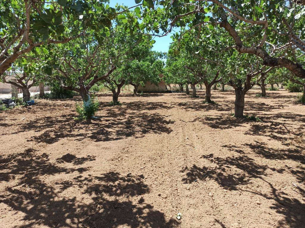 TMEMA TOY AGROTEMACHIOY