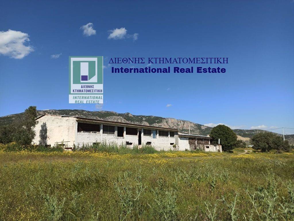 Η ΝΟΤΙΑ ΚΑΙ ΔΥΤΙΚΗ ΟΨΗ ΤΟΥ ΠΤΗΝΟΤΡΟΦΕΙΟΥ