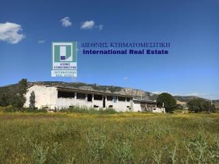 Η ΝΟΤΙΑ ΚΑΙ ΔΥΤΙΚΗ ΟΨΗ ΤΟΥ ΠΤΗΝΟΤΡΟΦΕΙΟΥ