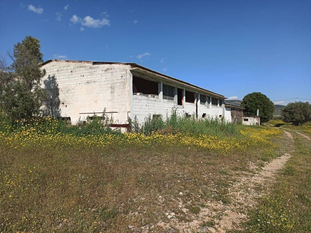 Η ΝΟΤΙΑ ΚΑΙ ΔΥΤΙΚΗ ΟΨΗ ΤΟΥ ΠΤΗΝΟΤΡΟΦΕΙΟΥ