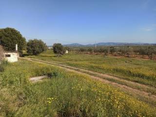 TMEMA TOY AGROTEMACHIOY