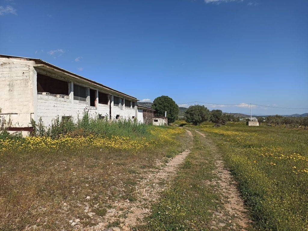 E NOTIA OPSE TOY PTENOTROPHEIOY