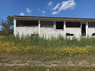 E NOTIA OPSE TOY PTENOTROPHEIOY