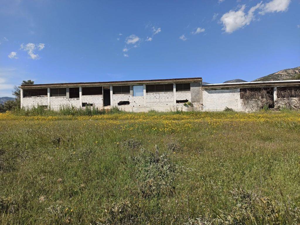 E NOTIA OPSE TOY PTENOTROPHEIOY