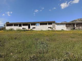 E NOTIA OPSE TOY PTENOTROPHEIOY