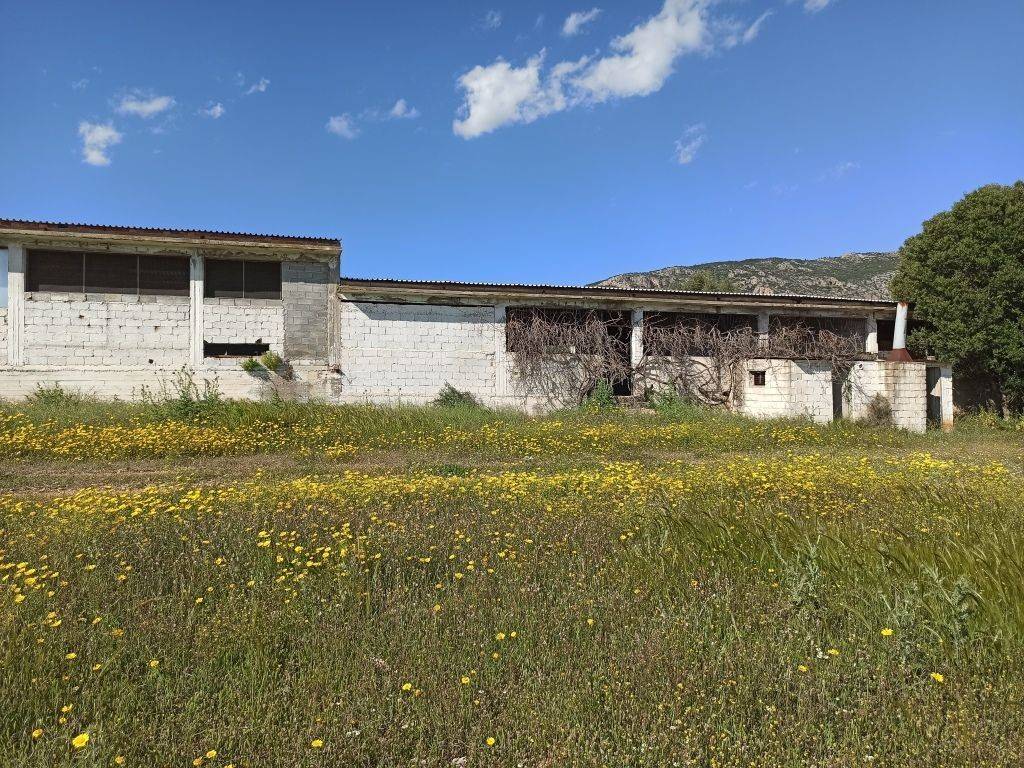 E NOTIA OPSE TOY PTENOTROPHEIOY