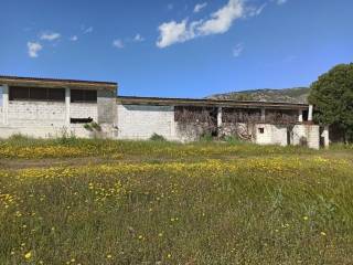 E NOTIA OPSE TOY PTENOTROPHEIOY