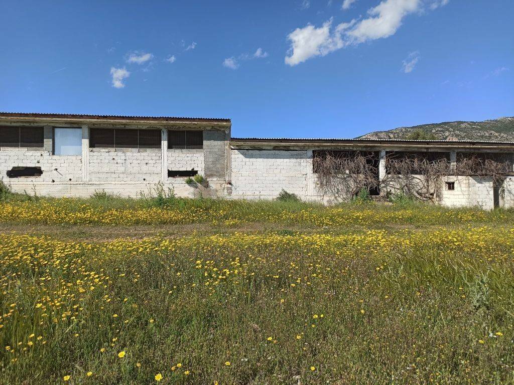 E NOTIA OPSE TOY PTENOTROPHEIOY