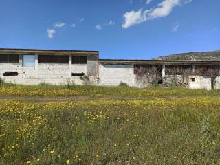 E NOTIA OPSE TOY PTENOTROPHEIOY