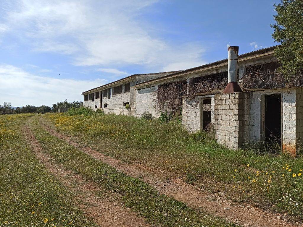 E NOTIA OPSE TOY PTENOTROPHEIOY