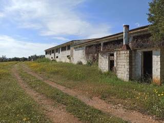 E NOTIA OPSE TOY PTENOTROPHEIOY