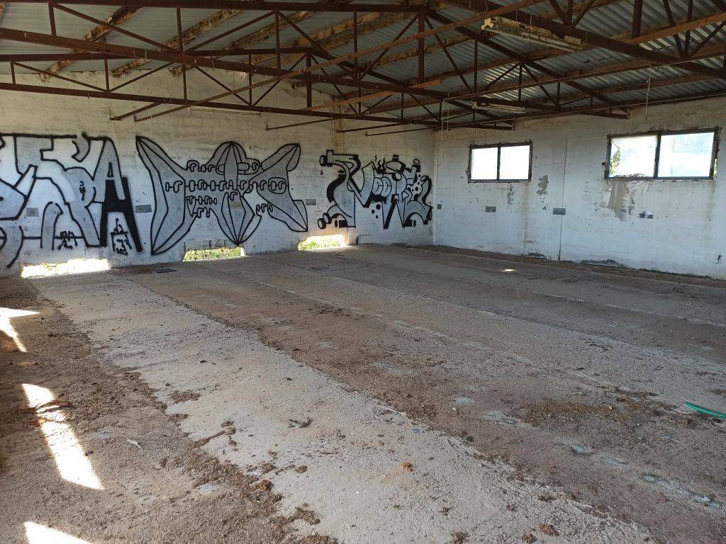 TMEMA APO TO ESOTERIKO TOY PTENOTROPHEIOY