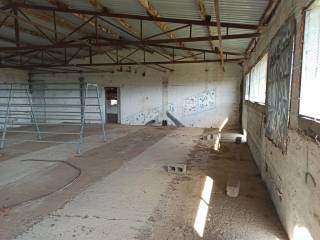 TMEMA APO TO ESOTERIKO TOY PTENOTROPHEIOY