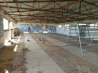 TMEMA APO TO ESOTERIKO TOY PTENOTROPHEIOY