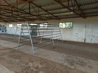 TMEMA APO TO ESOTERIKO TOY PTENOTROPHEIOY