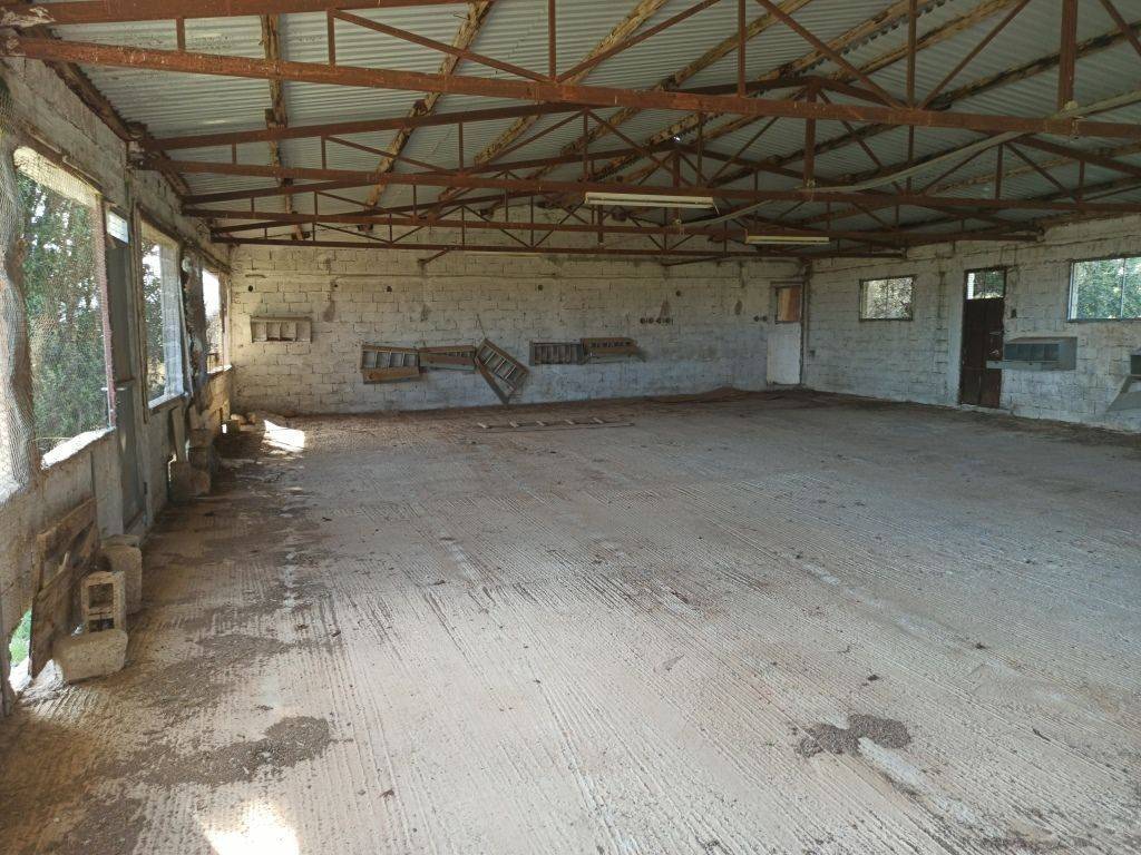 TMEMA APO TO ESOTERIKO TOY PTENOTROPHEIOY