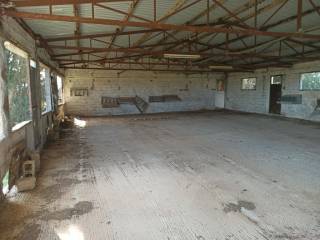 TMEMA APO TO ESOTERIKO TOY PTENOTROPHEIOY