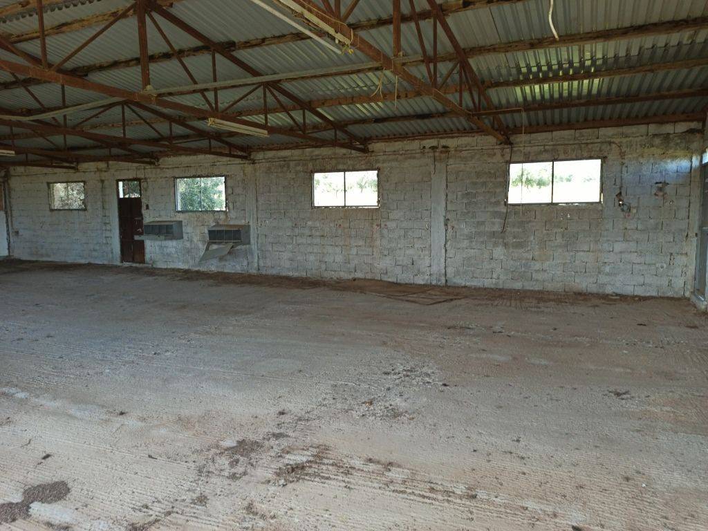 TMEMA APO TO ESOTERIKO TOY PTENOTROPHEIOY