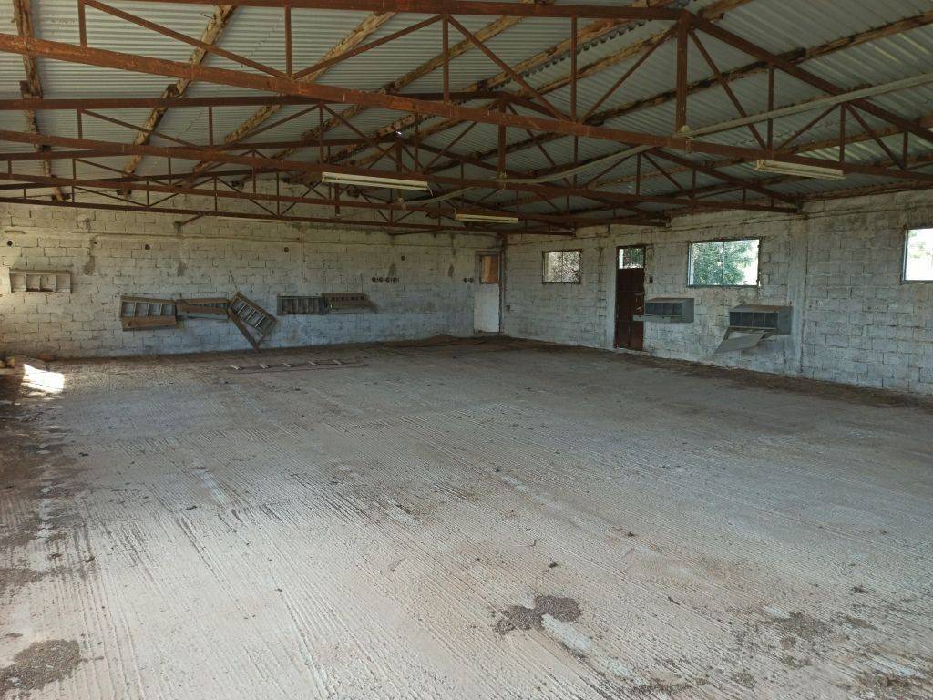 TMEMA APO TO ESOTERIKO TOY PTENOTROPHEIOY