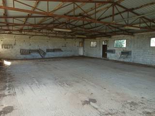 TMEMA APO TO ESOTERIKO TOY PTENOTROPHEIOY