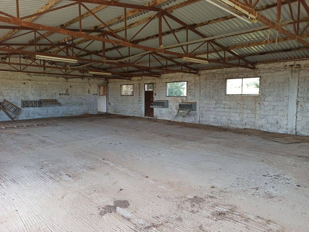 TMEMA APO TO ESOTERIKO TOY PTENOTROPHEIOY