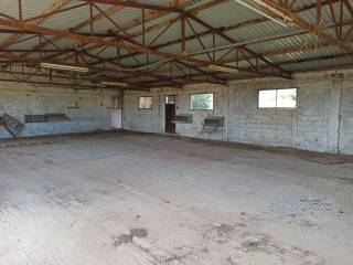 TMEMA APO TO ESOTERIKO TOY PTENOTROPHEIOY