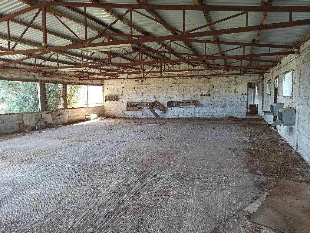 TMEMA APO TO ESOTERIKO TOY PTENOTROPHEIOY