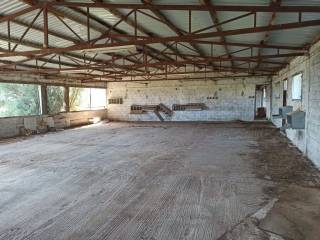 TMEMA APO TO ESOTERIKO TOY PTENOTROPHEIOY