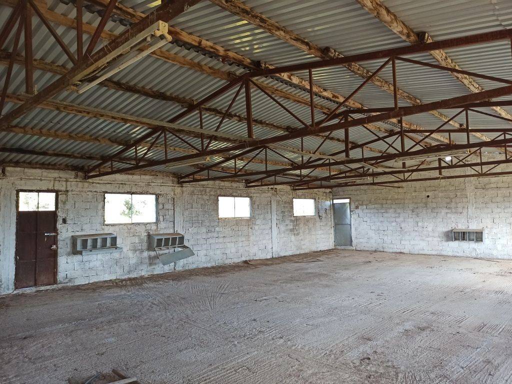 TMEMA APO TO ESOTERIKO TOY PTENOTROPHEIOY