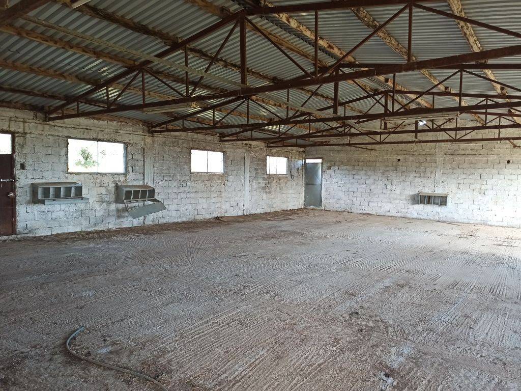 TMEMA APO TO ESOTERIKO TOY PTENOTROPHEIOY