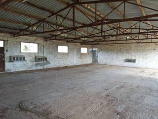 TMEMA APO TO ESOTERIKO TOY PTENOTROPHEIOY