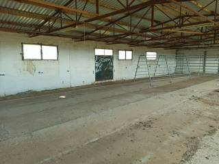 TMEMA APO TO ESOTERIKO TOY PTENOTROPHEIOY