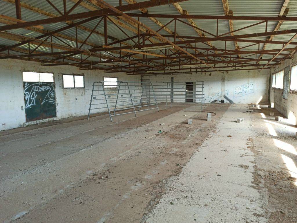 TMEMA APO TO ESOTERIKO TOY PTENOTROPHEIOY