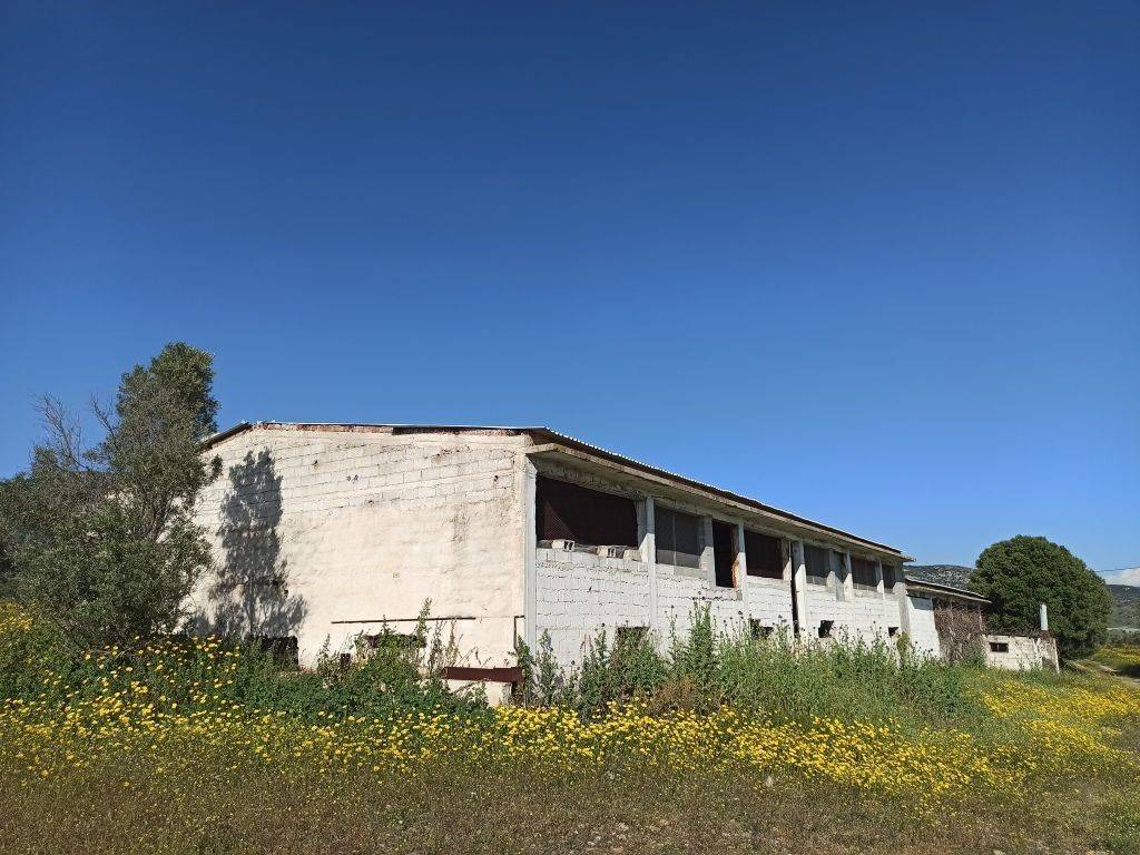 Η ΝΟΤΙΑ ΚΑΙ ΔΥΤΙΚΗ ΟΨΗ ΤΟΥ ΠΤΗΝΟΤΡΟΦΕΙΟΥ