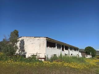 Η ΝΟΤΙΑ ΚΑΙ ΔΥΤΙΚΗ ΟΨΗ ΤΟΥ ΠΤΗΝΟΤΡΟΦΕΙΟΥ