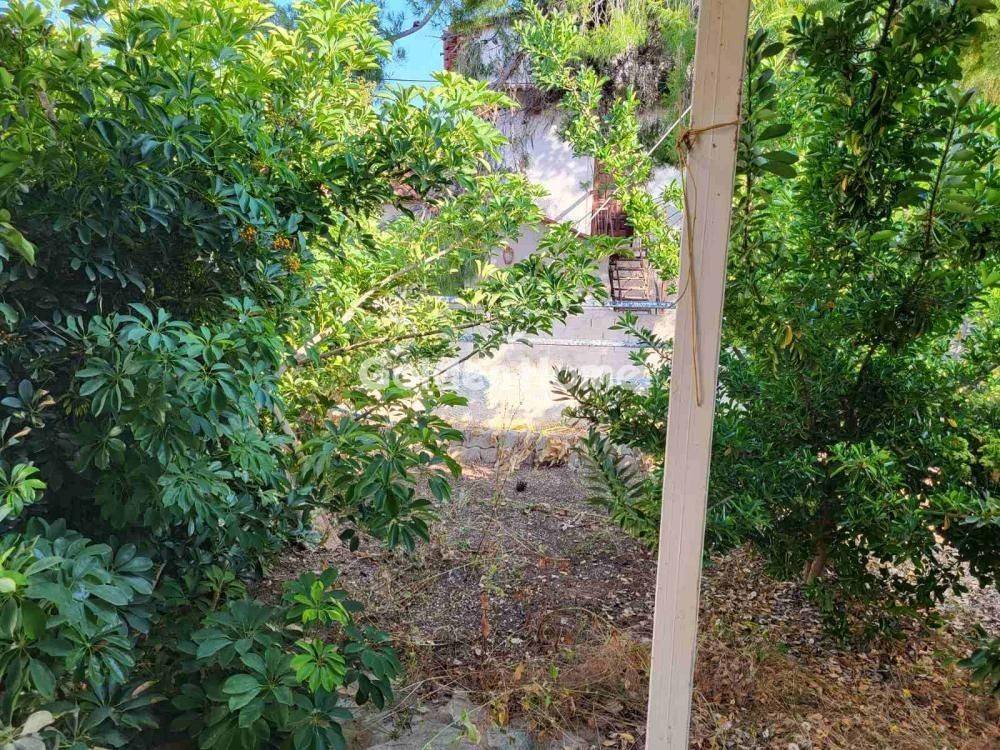 Εξωτερικός Χώρος