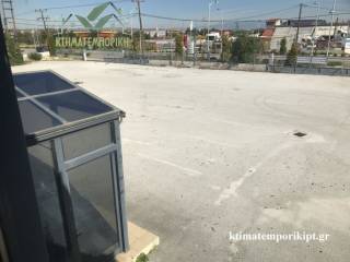 Αύλειος χώρος