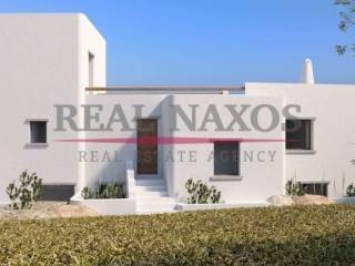 Exterior of the house