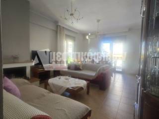 Σαλοκουζίνα