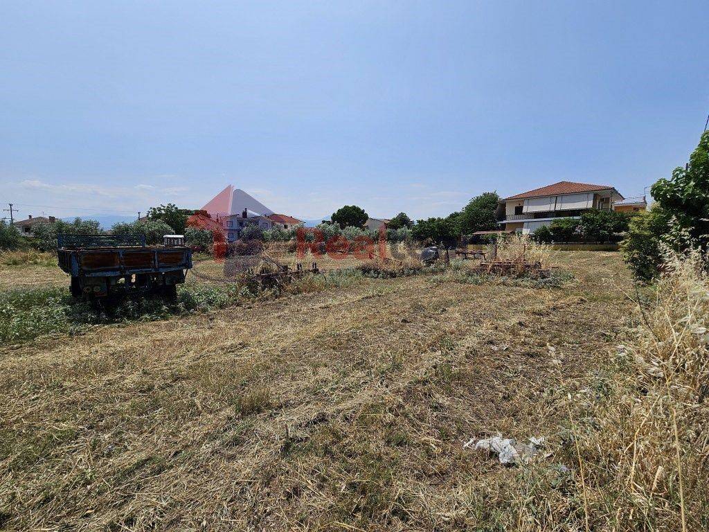 Εξωτερικοι χώροι