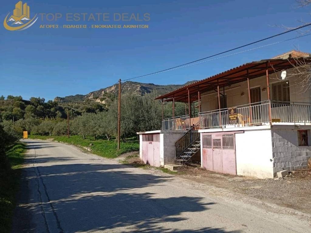 Oikia epi toy dromoy pros Trikala