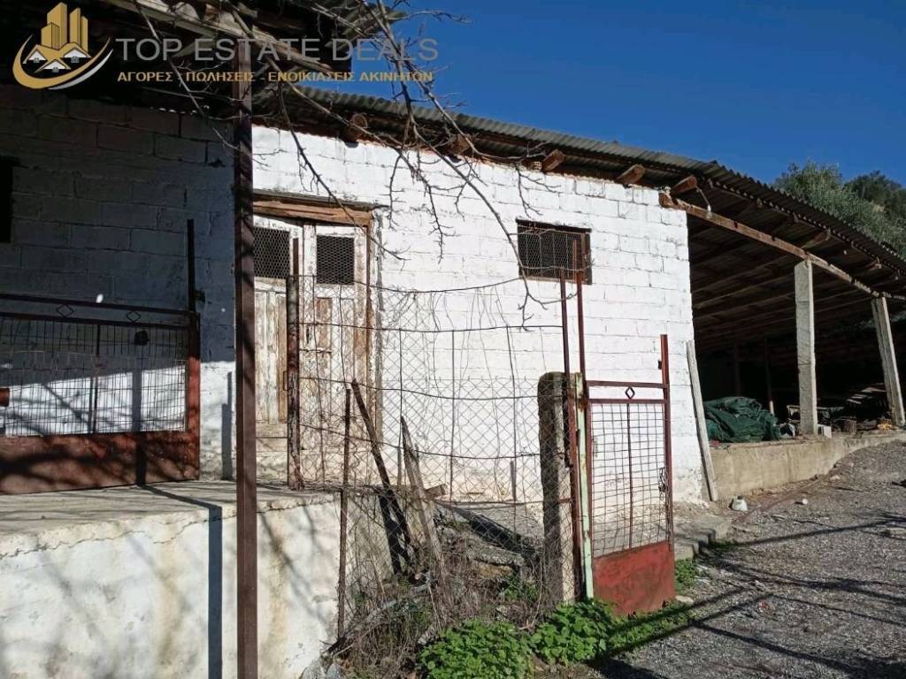 stablos- apotheke -stegastra