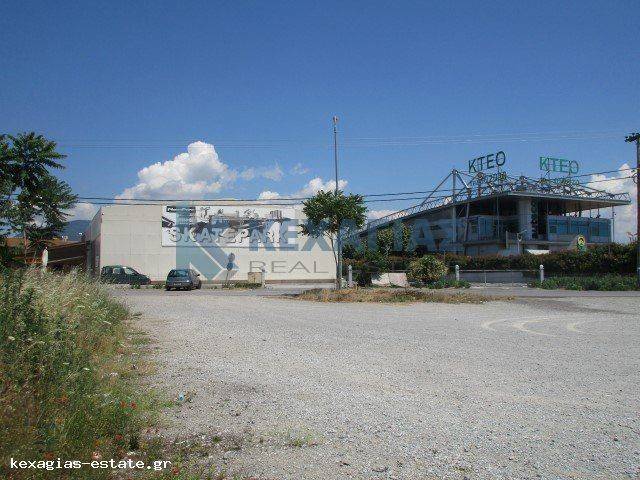 ΕΝΔΕΙΚΤΙΚΗ ΛΗΨΗ