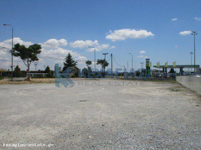 ΕΝΔΕΙΚΤΙΚΗ ΛΗΨΗ