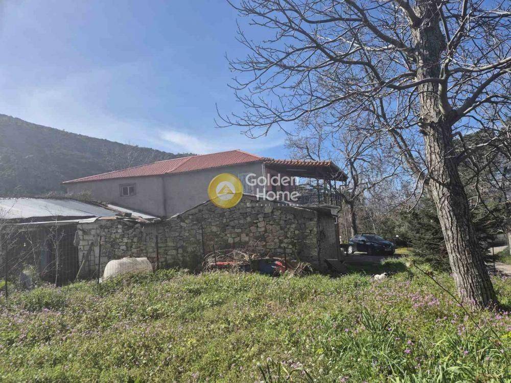 Εξωτερικός Χώρος