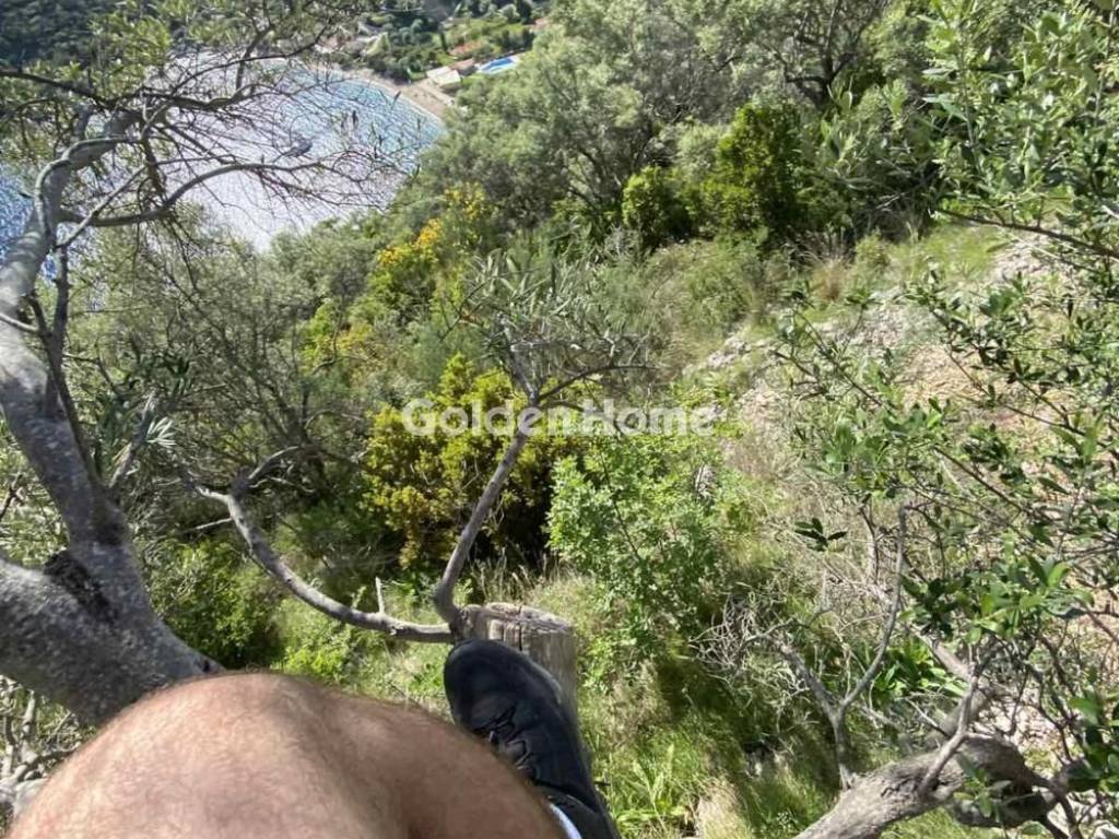 Εξωτερικός Χώρος