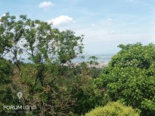 Forumland Real Estate, Απεριόριστη Θέα